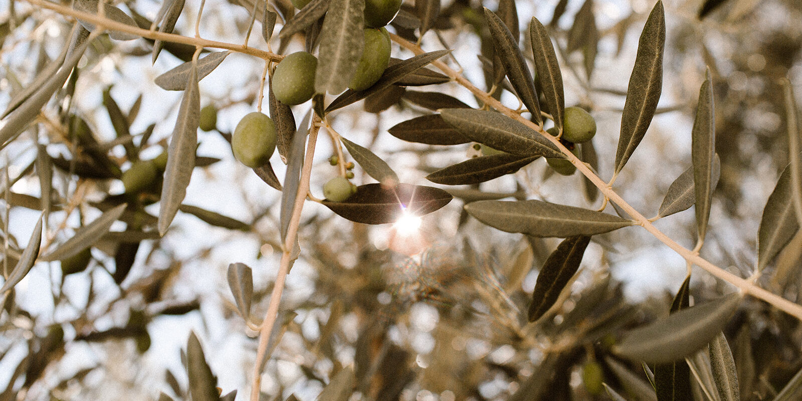 Trouwen in Spanje Trouwen in Spanje